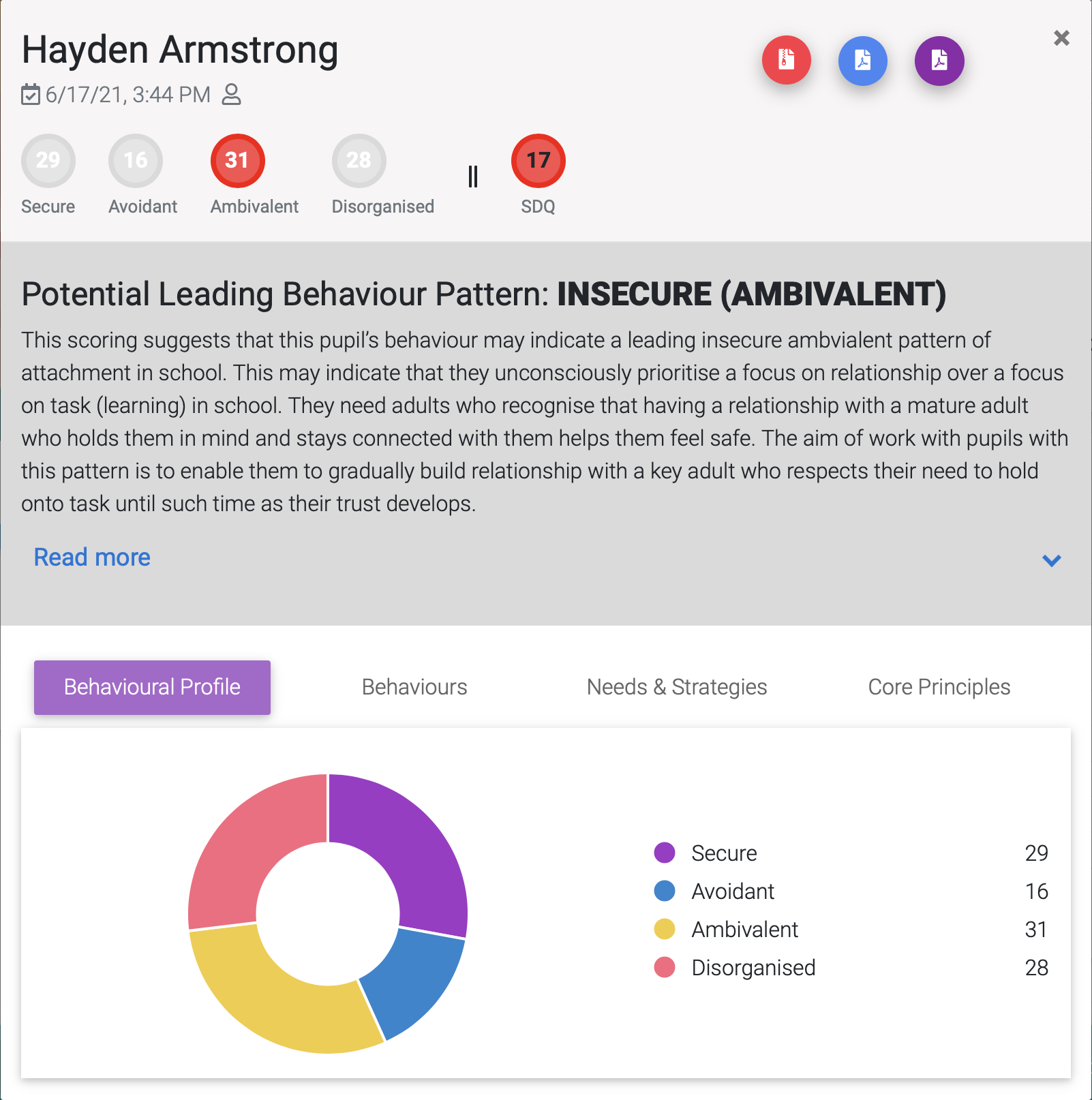 Behaviour profile 2
