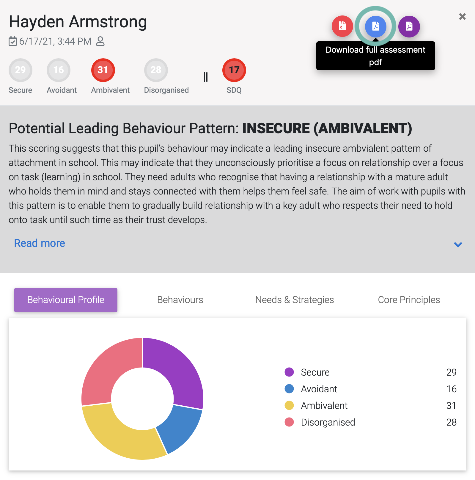 Download full assessment